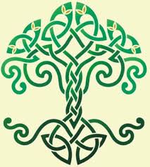 arbre racines symbole2