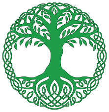arbre racines symboles