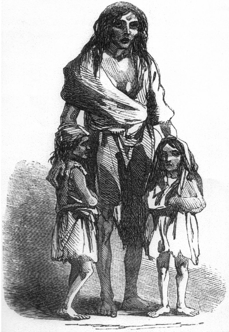 Irish potato famine Bridget ODonnel